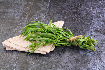 Green estragon branches for cooking