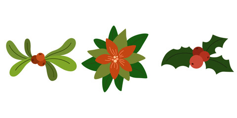 Christmas plants, decor. Red berries, flower, leaf, branch of poinsettia, mistletoe, holly. Xmas floral blooms, leaves. Natural decoration. Flat vector illustrations isolated on white background