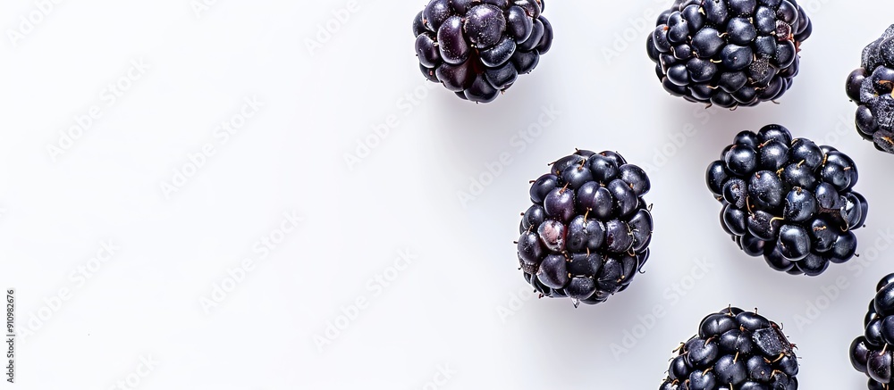 Poster Top view of a fresh blackberry on a white background ideal for adding text in the available copy space image