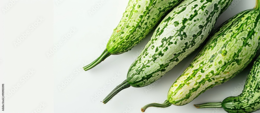 Poster Close up image of snake gourds Trichosanthes cucumerina isolated on white background with copy space image