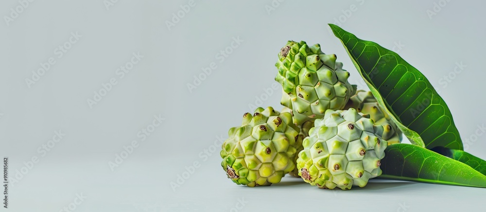 Poster noni fruit displayed against a plain white backdrop with space for copy