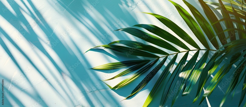 Poster Capture a summery aesthetic with a detailed shot of a palm leaf and shadows creating an abstract texture on a beautiful nature background in a minimalist flat lay composition featuring abundant copy