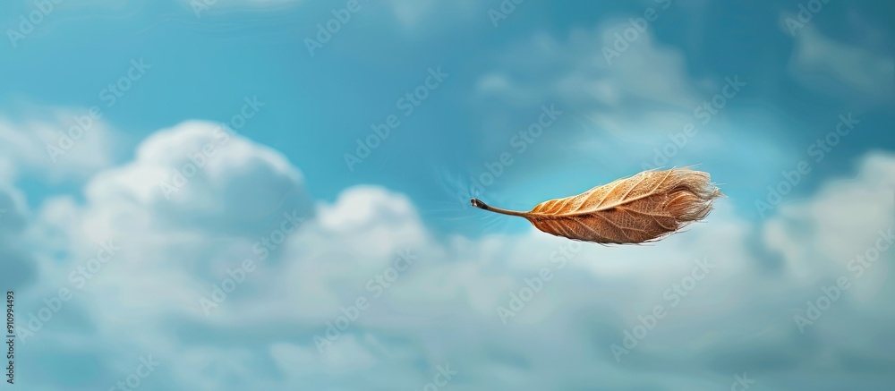 Poster A Dipterocapus tree seed is drifting in the sky in a captivating copy space image