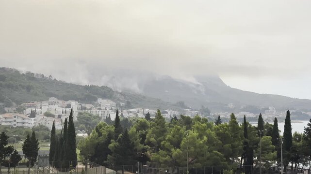 Extinguished forest fire with lots of smoke