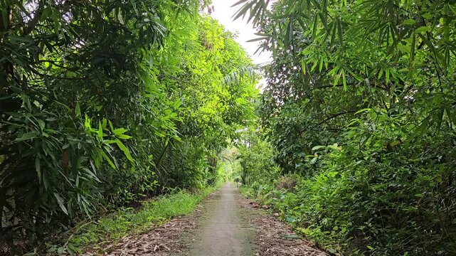 Narrow street in the village at  Mang Thit district, Vinh Long province, Mekong Delta Vietnam in the morning.