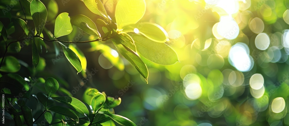 Poster natural greenery with sunlight highlights and bokeh effect, creating a picturesque view with a copy 