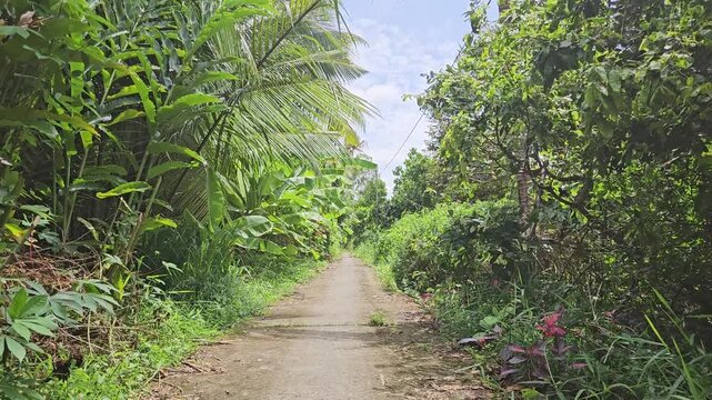 Narrow street in the village at  Mang Thit district, Vinh Long province, Mekong Delta Vietnam in the morning.