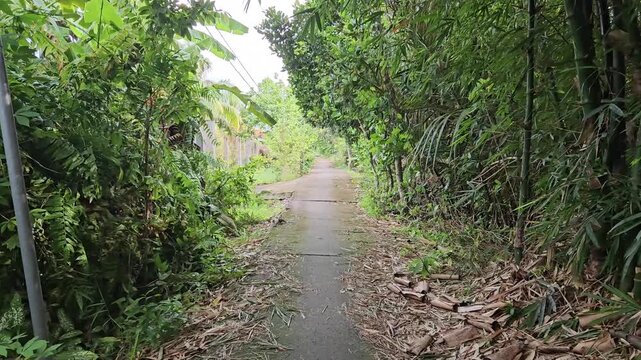 Narrow street in the village at  Mang Thit district, Vinh Long province, Mekong Delta Vietnam in the morning.