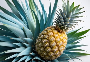 Fototapeta premium pineapple isolated on white background, full depth of field, ai
