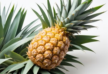 Fototapeta premium pineapple isolated on white background, full depth of field, ai