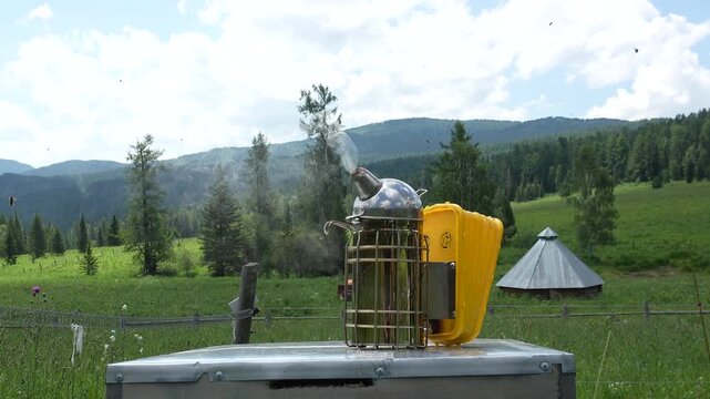 Smoker is a device for fumigating bees with smoke in order to pacify them. Bee smoker in the apiary