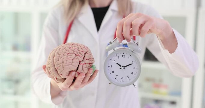 Doctor holding an artificial model of human brain and alarm clock
