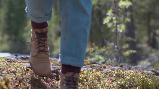 In this serene slow-motion video, watch as a young woman carefully steps up a moss-covered tree trunk in an enchanting English forest on the South Coast. Her sturdy hiking boots tread gently on ground