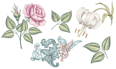Rose lily flower vintage Baroque Victorian pink white floral ornament set green leaf engraved pattern decorative tattoo botany vector