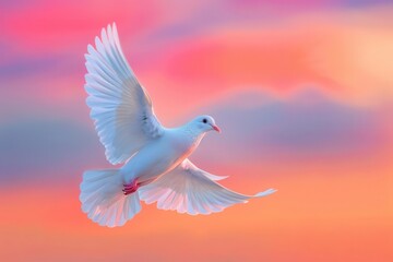 Obraz premium Elegant white dove, a timeless symbol of freedom, gliding peacefully with open wings against a vibrant sunset