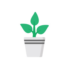 Money Plant  vector icon