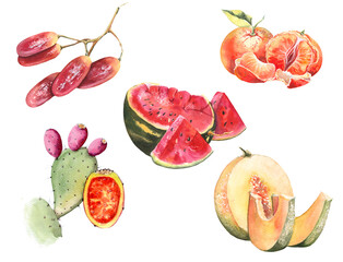 Set of sweet fruits. Painted with watercolors on paper