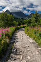 Fototapety na wymiar - Fototapeta24.pl