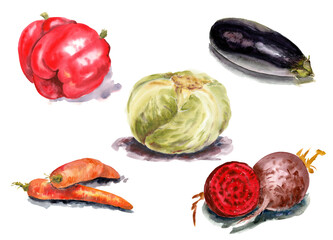 Vegetables set for cooking. Watercolor on paper