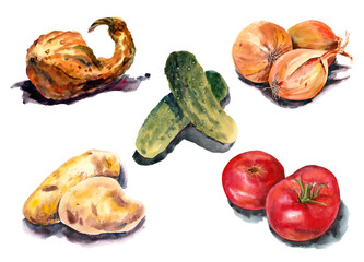 Vegetables set for cooking. Watercolor on paper