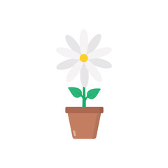 Jasmine vector icon
