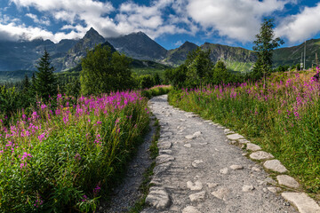 Fototapety na wymiar - Fototapeta24.pl