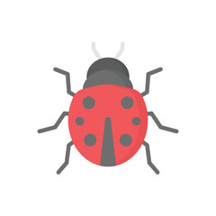 Lady Bug vector icon