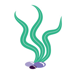 Green seaweed. Vector illustration isolated on white background. Ocean, sea plants concept. Element for print, banner, card, brochure, logo.