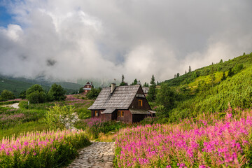 Fototapety na wymiar - Fototapeta24.pl