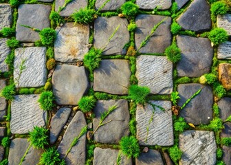 Rustic, weathered stone road with asymmetrical paving stones and vibrant green grass sprouting between the cracks, creating a natural, textured background with a top-down perspective.