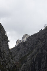 Picos de Europa (Asturias)