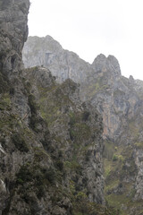 Picos de Europa (Asturias)