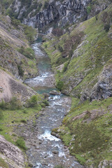 Picos de Europa (Asturias)