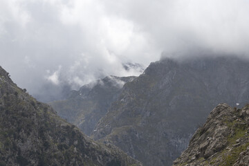 Fototapeta premium Picos de Europa (Asturias)