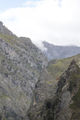 Picos de Europa (Asturias)