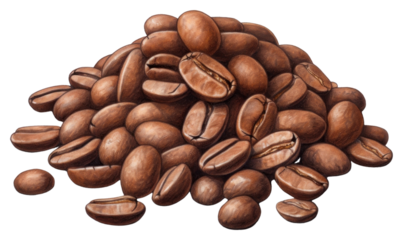 PNG Coffee bean pile white background coffee beans freshness.