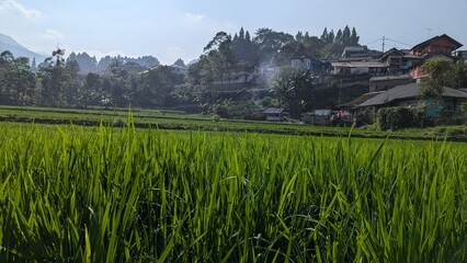 Cilember Java Indonesia