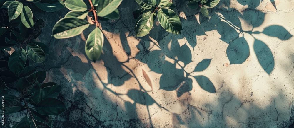 Poster summer themed photo with leaf shadows creating a background copy space image