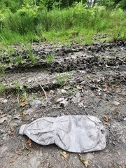 plastic bottle in the nature