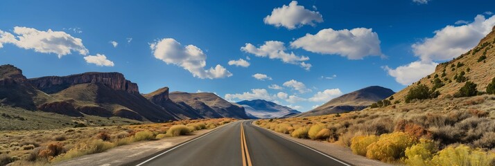 A long, straight road runs through a desert landscape, leading towards distant mountains under a bright blue sky with scattered clouds.