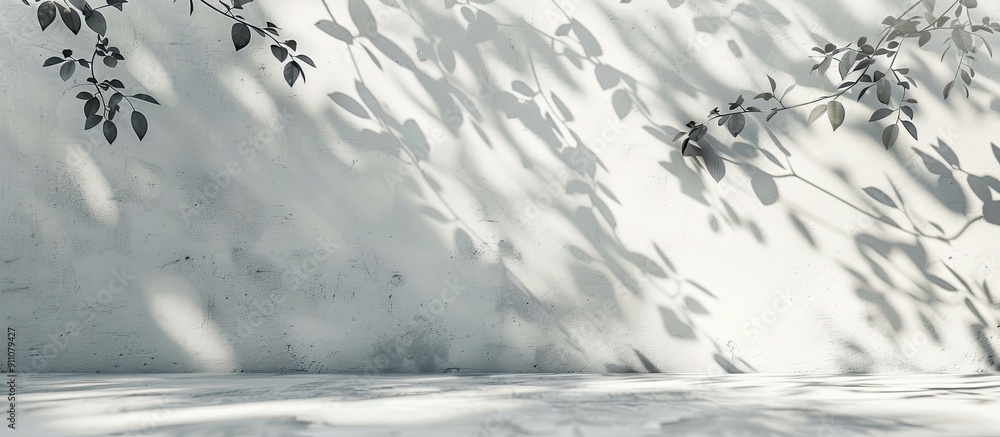 Poster white concrete encases the floor and walls casting delicate leaf and branch shadows creating a subtl