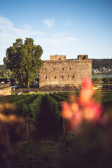 Fototapeta premium Brömersburg in Rüdesheim, August 2024