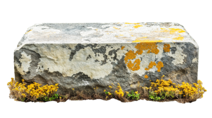 old grey moss covered granite stone rock, cut out
