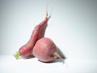 Organic bio vegetables set over white background. Radish, beet and zucchini