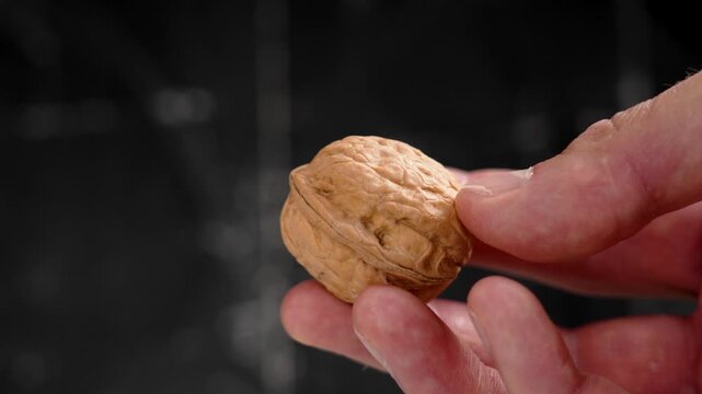 Fresh walnut seed in hand on a black grunge background. Organic whole uncracked nut in textured shell