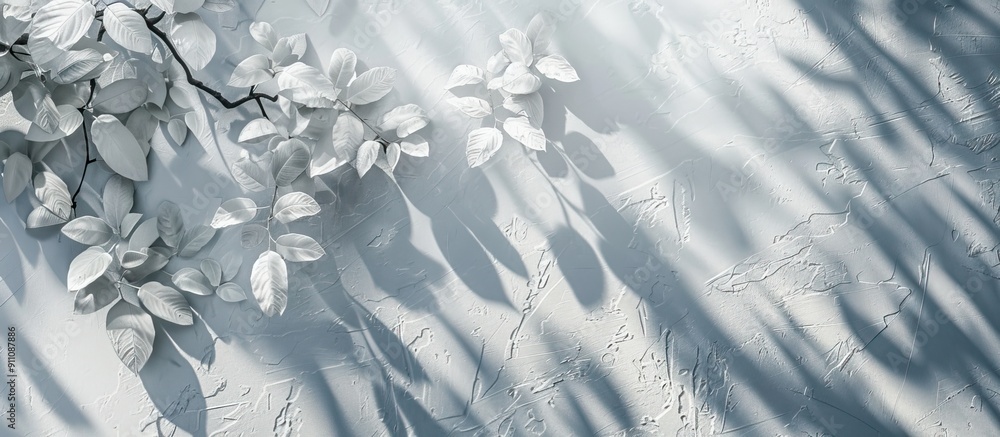 Poster white concrete surfaces with leaf and branch shadows create a natural pattern with light gray shadow