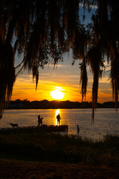 Silhouette of a family together at sunset on Lake Olivia, Avon Park, Florida