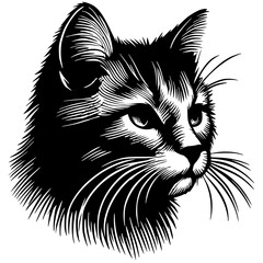 Cat head sketch silhouette