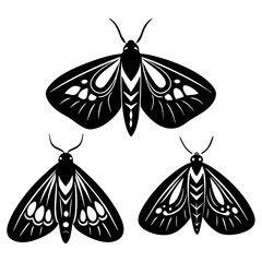 moths vector silhouette 