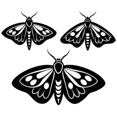 moths vector silhouette 